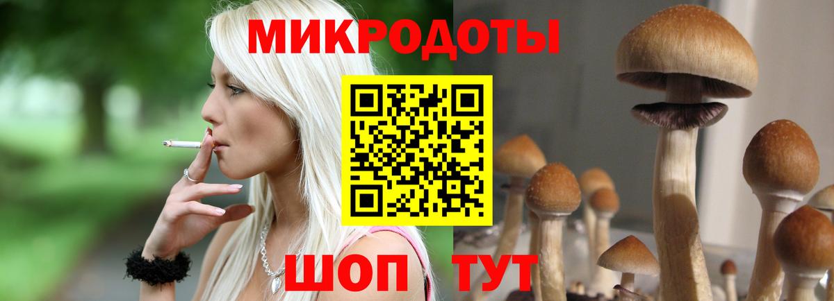 Чехов  Псилоцибиновые грибы Cubensis  Вход с VPN 